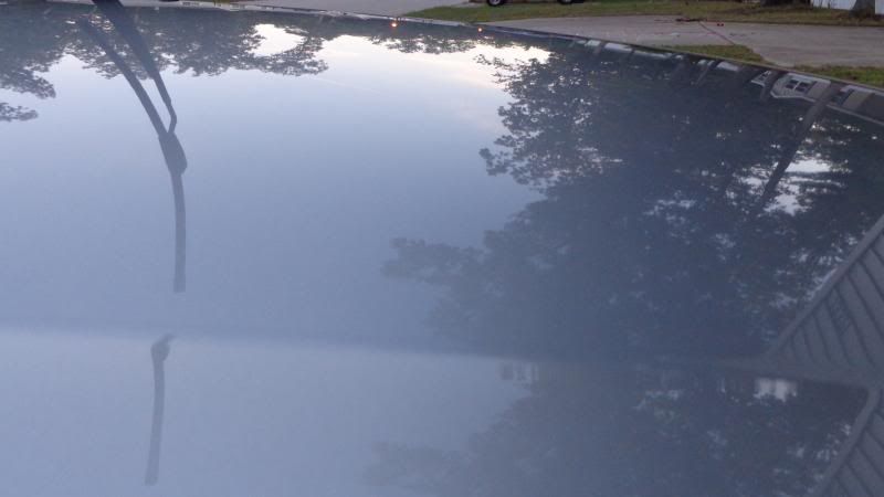 DSC00387.jpg