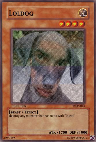 loldog.jpg