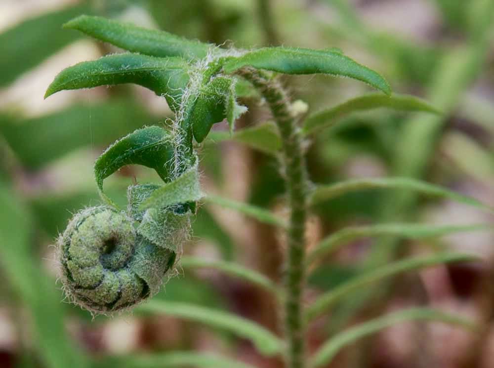 IMAGE: http://i418.photobucket.com/albums/pp263/ThisIsHey/9e2fuoqc.jpg