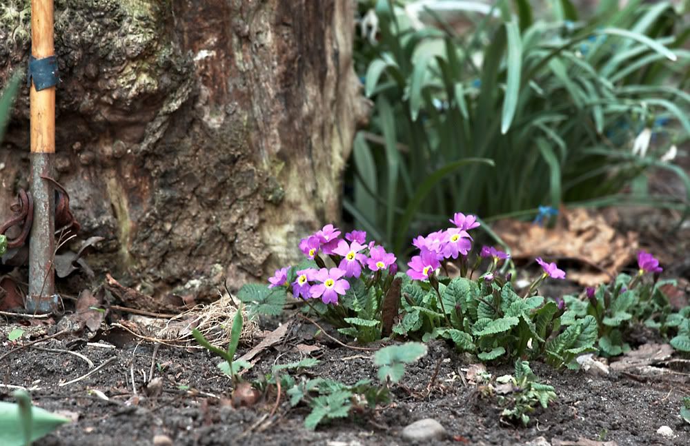 IMAGE: http://i418.photobucket.com/albums/pp263/ThisIsHey/IMG_6878.jpg