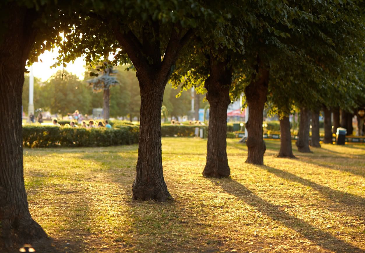 IMAGE: http://i418.photobucket.com/albums/pp263/ThisIsHey/_MG_4129.jpg