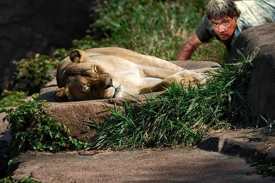 IMAGE: http://i418.photobucket.com/albums/pp263/ThisIsHey/lion2.jpg