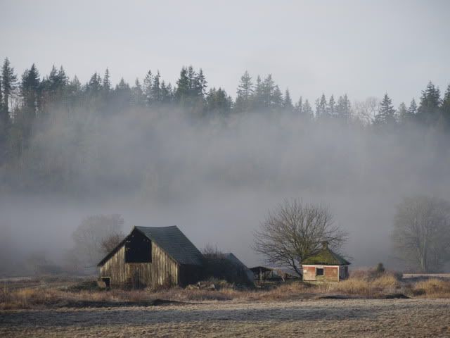 P1030036.jpg old farm buildings in fog picture by Hjhusby