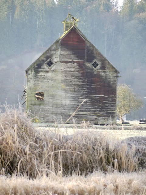 P1030043.jpg old barn at Silvana picture by Hjhusby