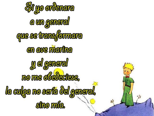 imagenes imagenes
