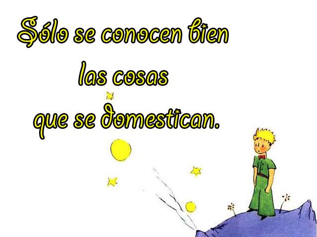 Estrella Estrella