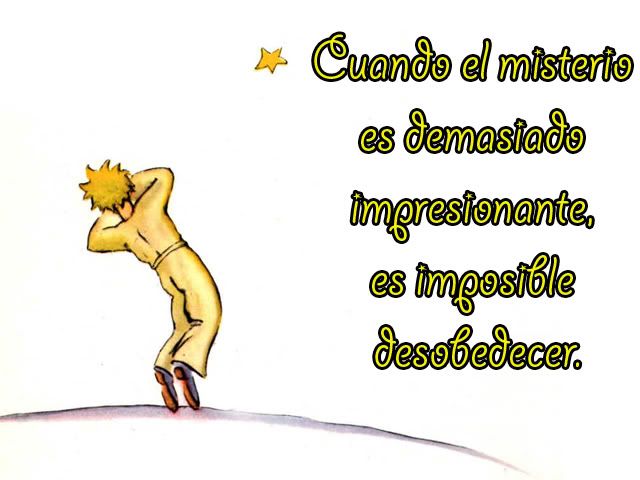 niño niño