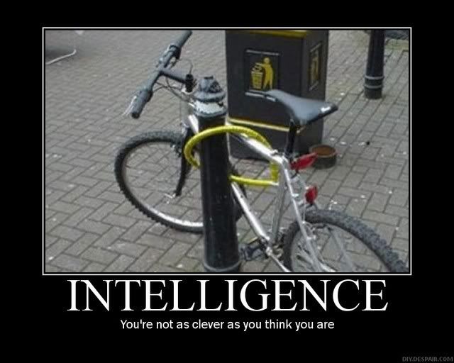 intelligence.jpg