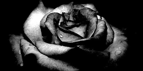 3 Pictures, Images and Photos