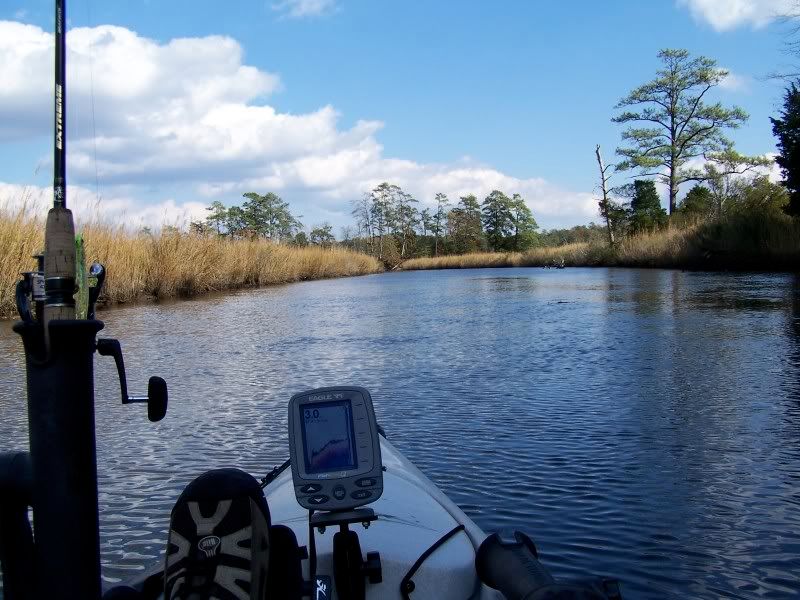 Fishing Report Fishing W/Speckulater Charter, Mobjack Bay, Wednesday