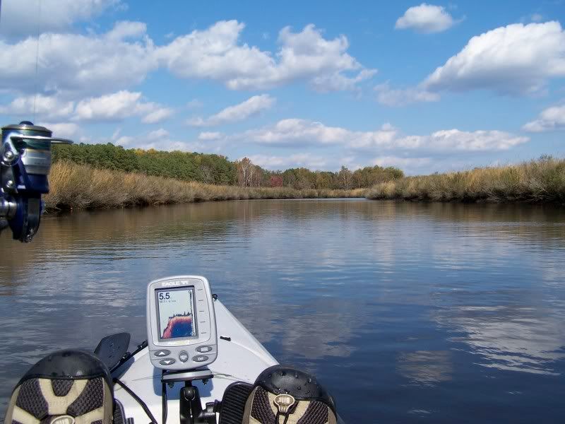 Fishing Report Fishing W/Speckulater Charter, Mobjack Bay, Wednesday