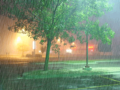 night rain Pictures, Images and Photos