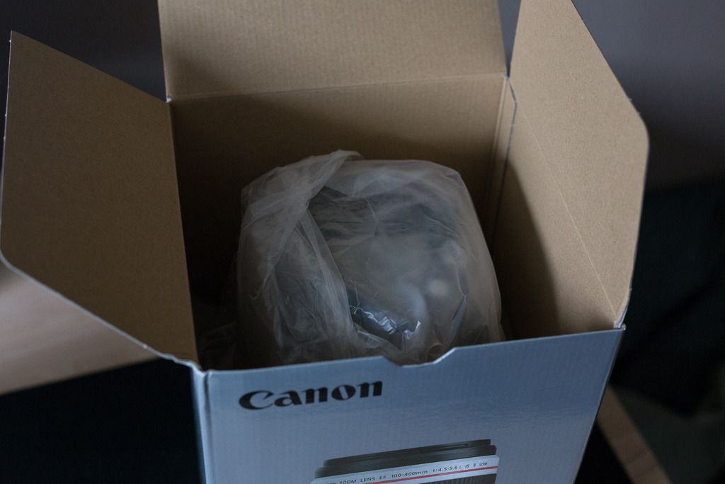 IMAGE: http://i418.photobucket.com/albums/pp268/InsideTheCase/IMG_9465.jpg