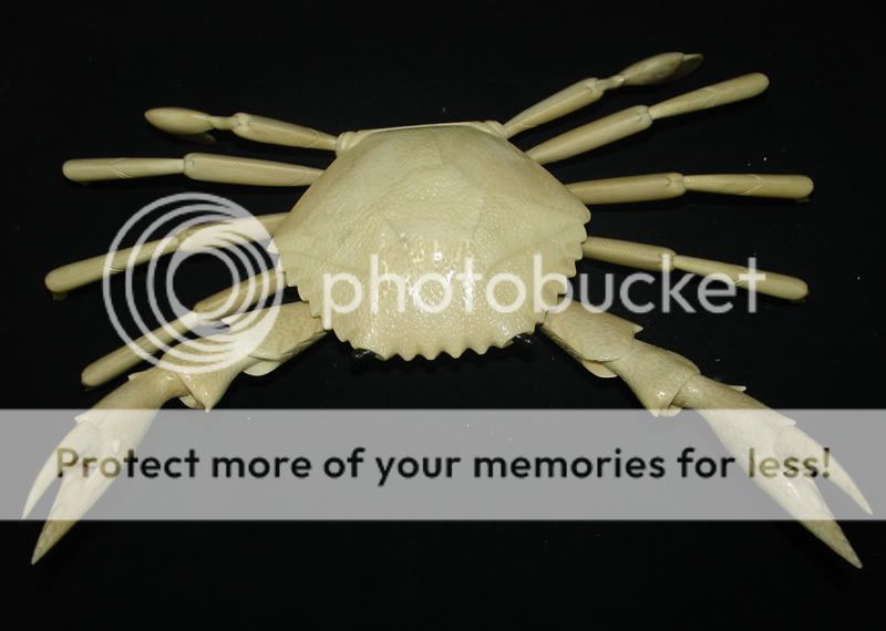 nice old japanese hand carved cattle bone carving big-crab