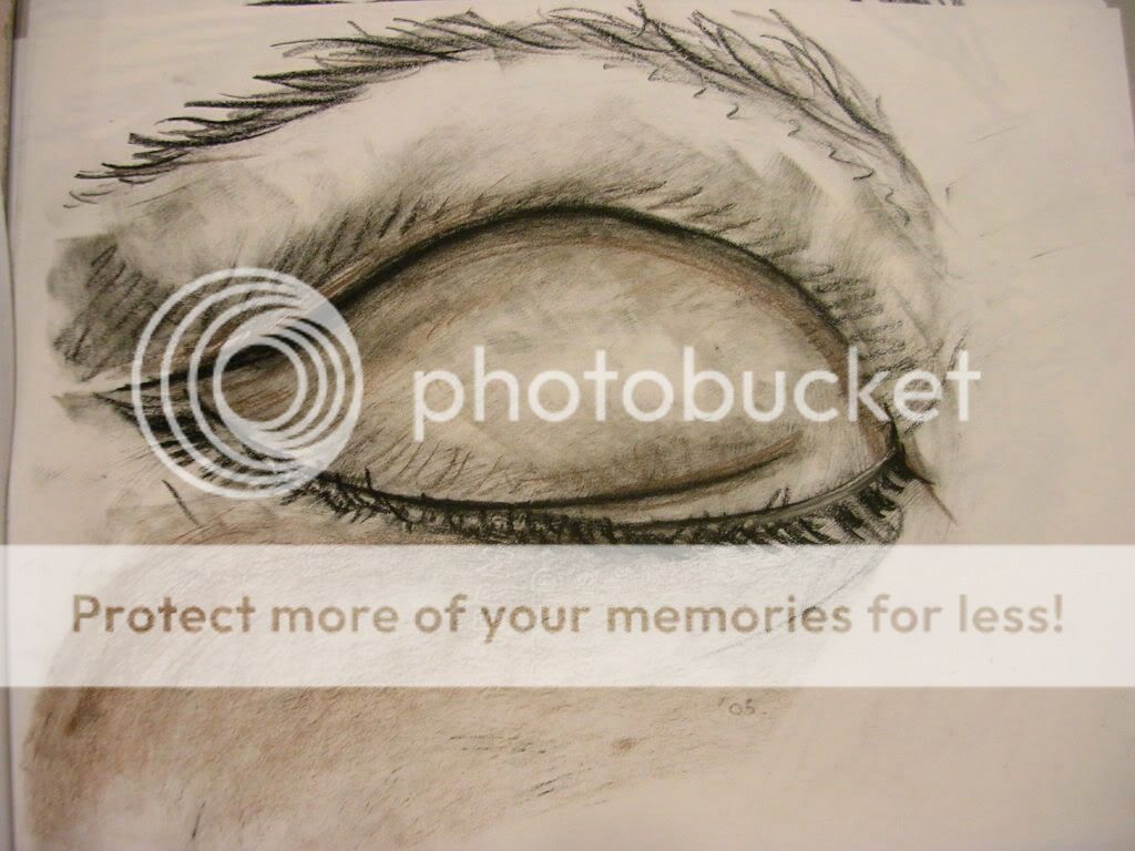 Eye Pictures, Images and Photos