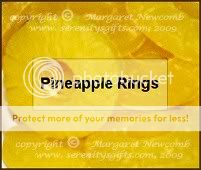 Scented Wax Embeds   Pineapple Rings  